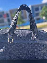 LOUIS VUITTON Josephine cloth handbag