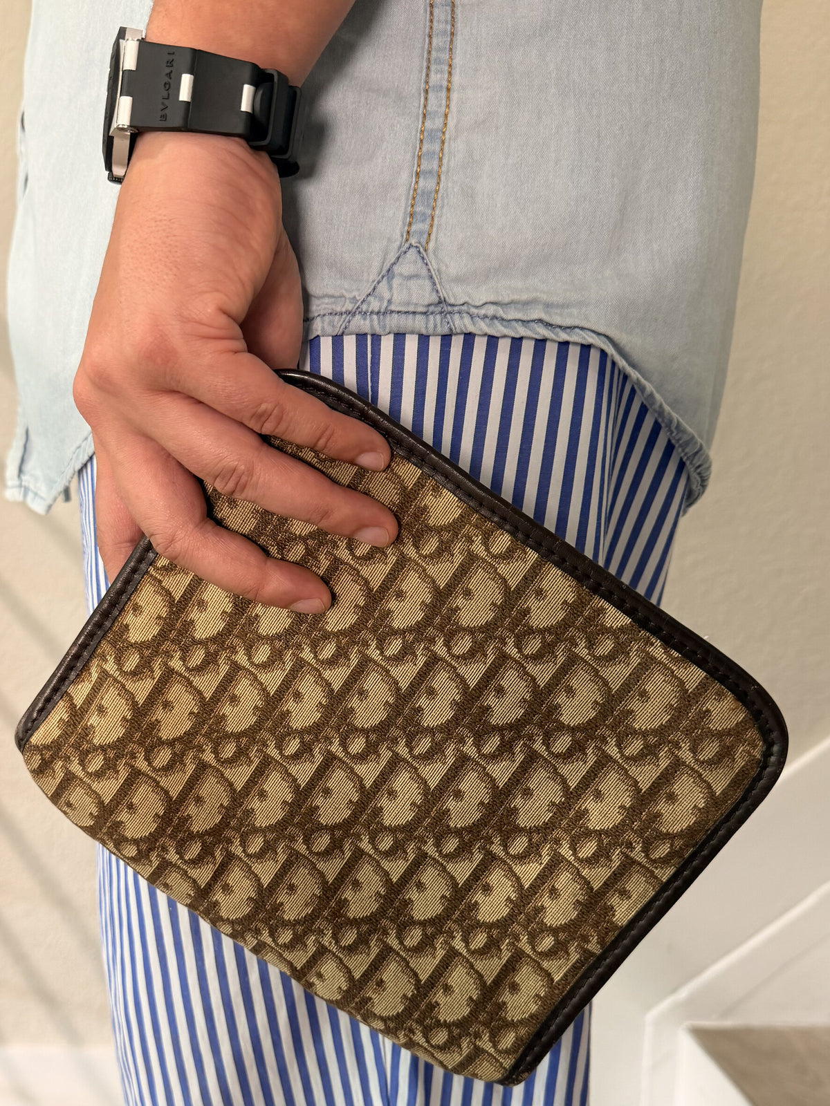 Dior Trotter Canvas Brown Clutch Bag